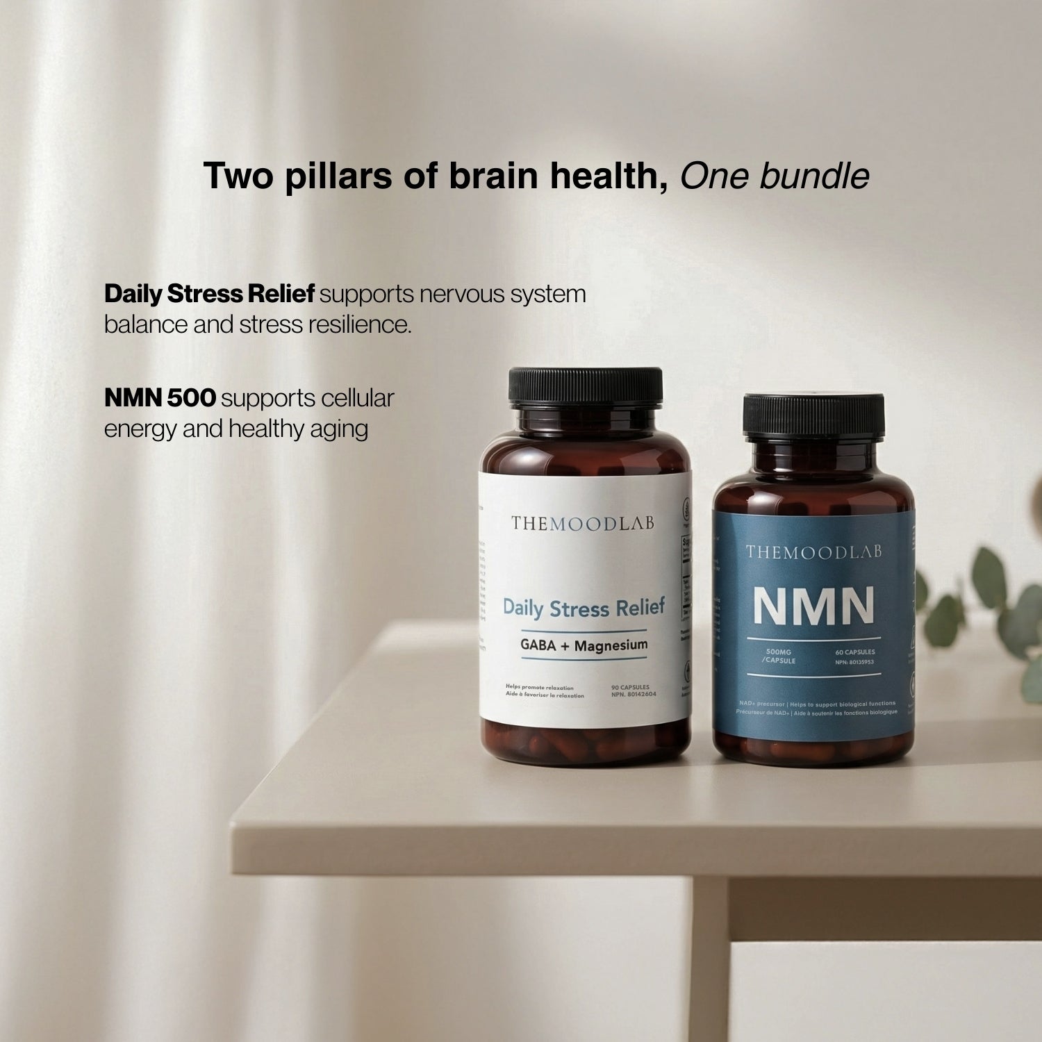 Healthy Brain Bundle - brain health supplements by The Mood Lab